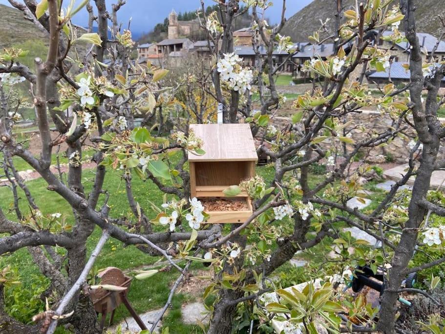 Idilico Refugio De Montana Ideal Escapadas Olopte Dış mekan fotoğraf